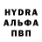 Конопля индика Pon4ik Tedi