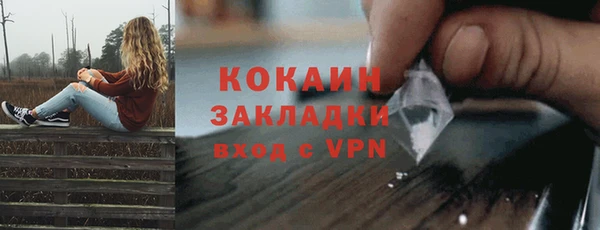 дурь Вяземский