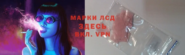 дурь Вяземский