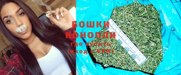 дурь Вяземский