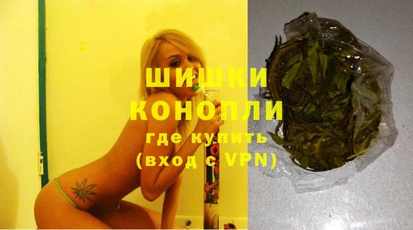 дурь Вяземский